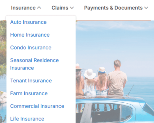 Insurance Provider Case Study Solutions (2)